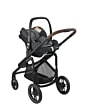 1919750110_2021_maxicosi_stroller_plazaplus_essentialgraphite_3qrtleft_tinca